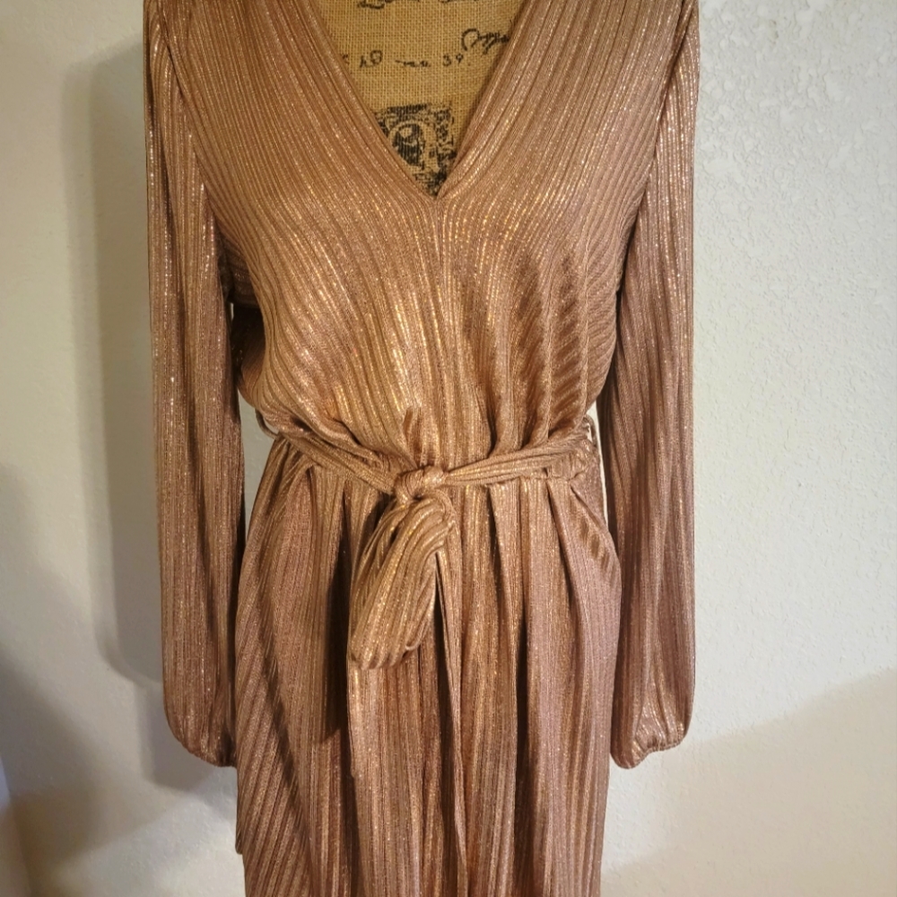 Rose Gold dress/ Dress Forum Brand/ Size L